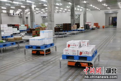 中新网湖北 实探湖北襄阳一生鲜物流中心 机器人助力分拣