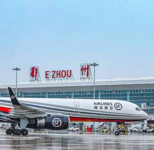 2023经济观察⑥丨高端 服务员 赋能 湖北智造