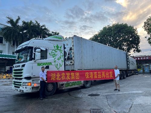 湖北农发集团主动融入 双循环 助力农产品供应链安全稳定